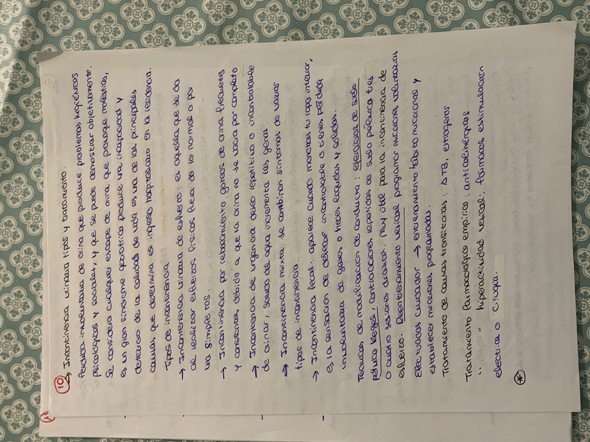 Miniatura del documento IMG9163.jpg