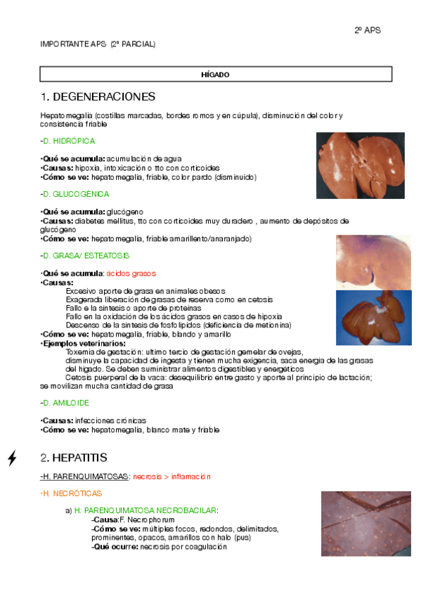 Miniatura del documento 2o-PARCIAL-APS.pdf