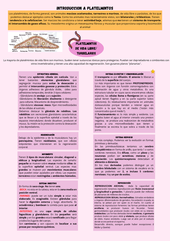 Miniatura del documento PLATELMINTOSYGASTROTRICOS.pdf