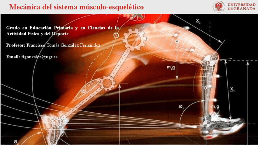 Miniatura del documento 2.pdf