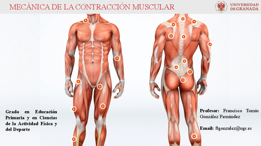 Miniatura del documento 3.pdf