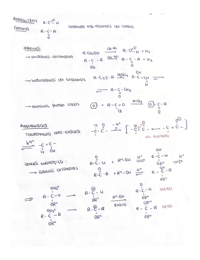 Miniatura del documento Aldehidos-cetonas-acidos-nitrilos-amidas.pdf