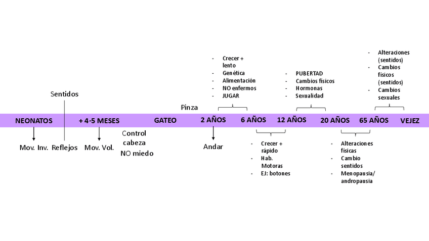 Miniatura del documento LINEA-DEL-TIEMPO-D.pdf
