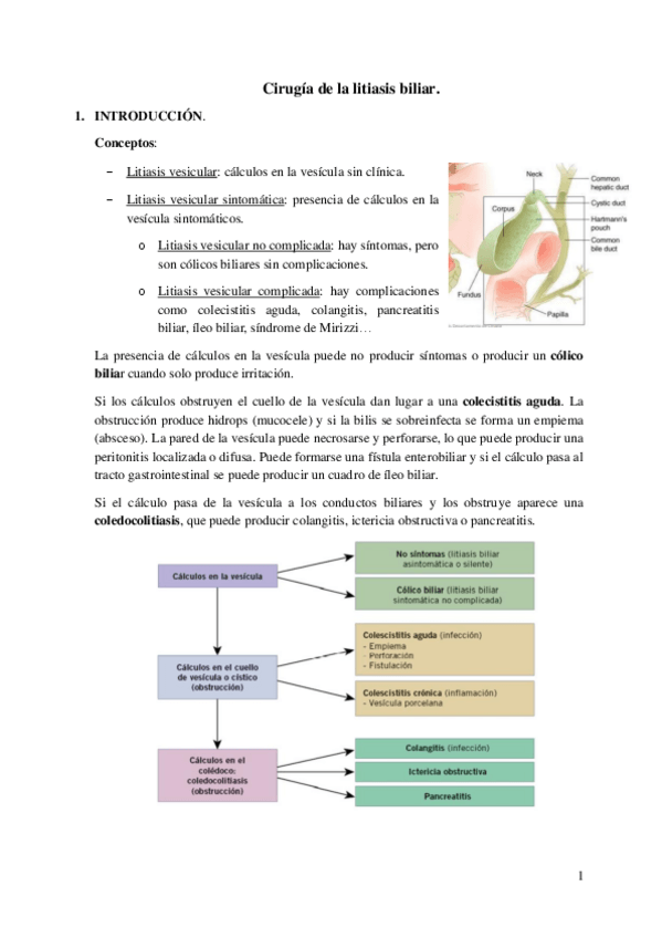 Miniatura del documento 47.pdf