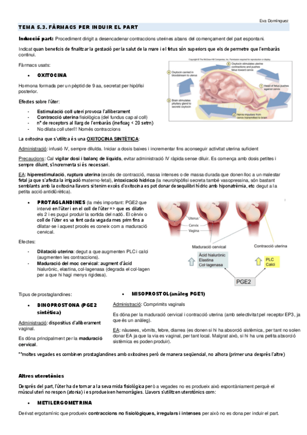 Miniatura del documento TEMA-5.pdf
