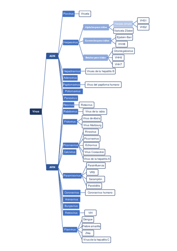 Miniatura del documento Virus.pdf
