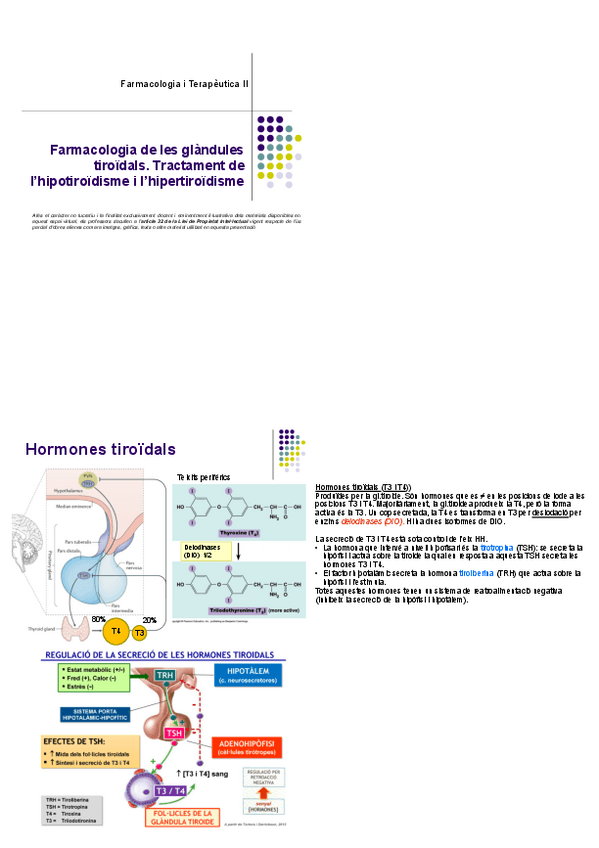 Miniatura del documento Tema 4.2 Hipotiroidisme i hipertiroidisme.pdf