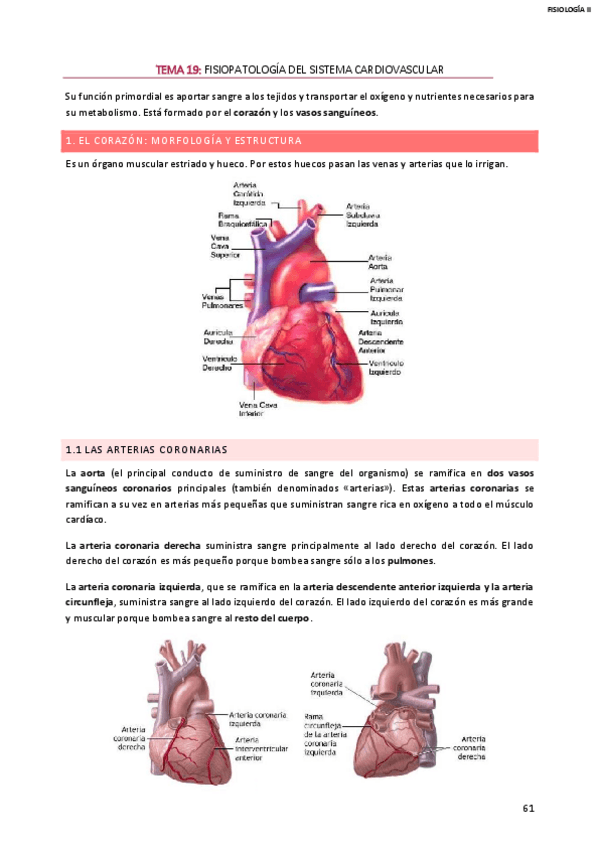 Miniatura del documento APUNTES-FISIOLOGIA-II-BLOQUE-3.pdf