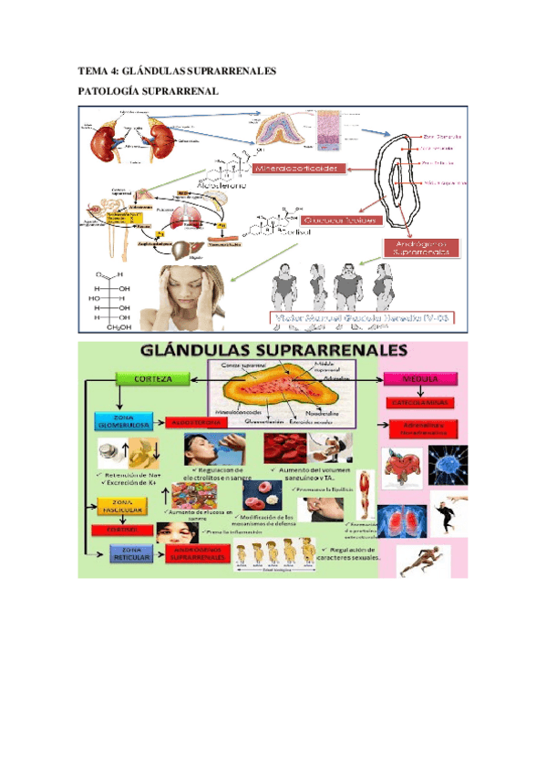 Miniatura del documento TEMA-4.docx