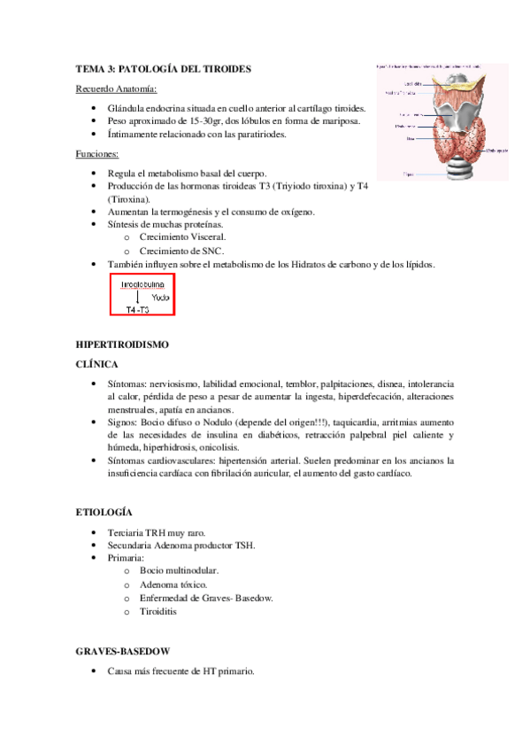 Miniatura del documento TEMA-3.docx