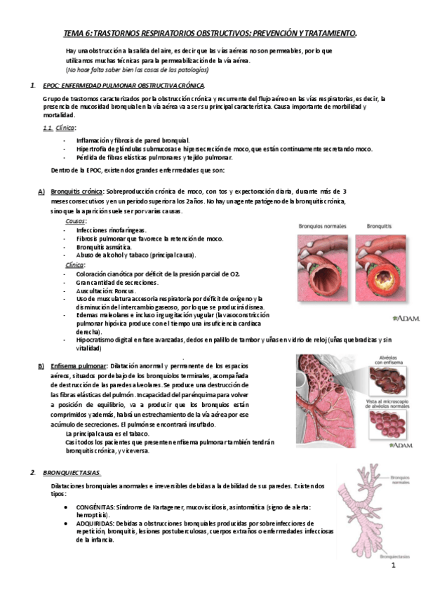 Miniatura del documento RESPI-Tema-6.pdf