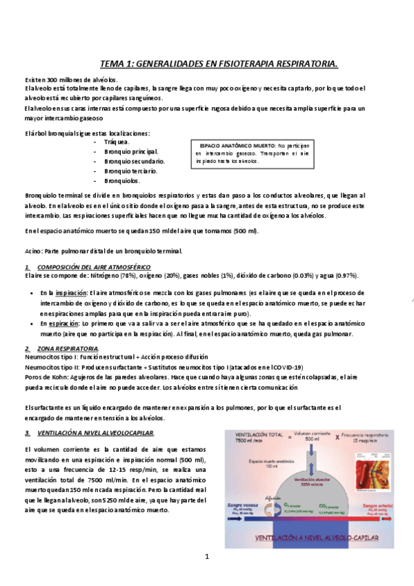 Miniatura del documento RESPI-Tema-1.pdf