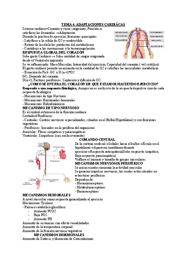 Miniatura del documento TEMA-4-ADAPTACIONES-CARDIACAS-.pdf