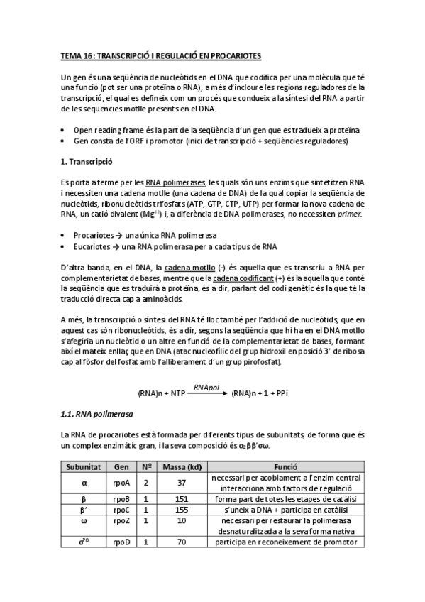 Miniatura del documento tema 16 transcripció en procariotes.pdf