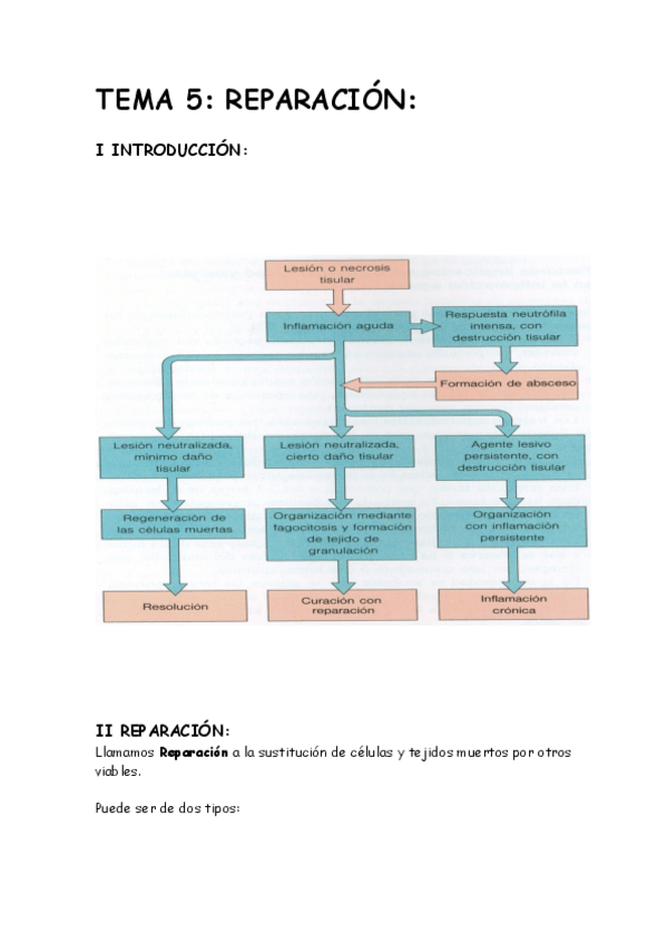 Miniatura del documento Tema 5 Anatomía Patológica - Reparación.pdf
