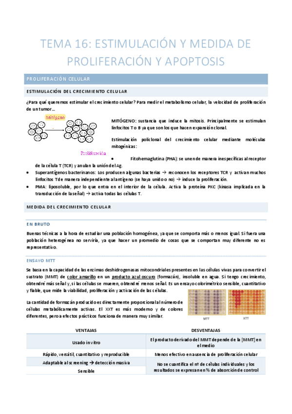 Miniatura del documento TEMA-16-Estimulacion-y-medida-de-proliferacion-y-apoptosis.pdf