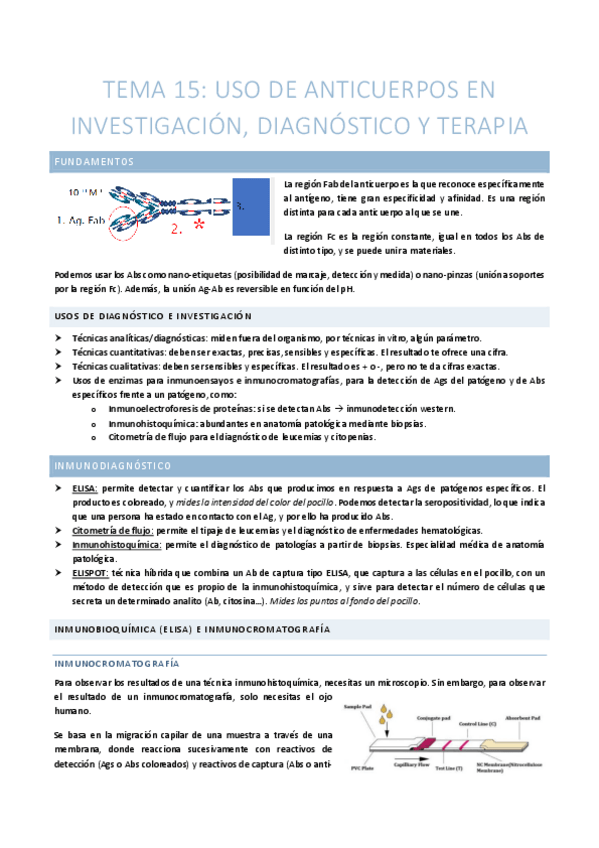 Miniatura del documento TEMA-15-Uso-de-anticuerpos-en-investigacion-diagnostico-y-terapia.pdf