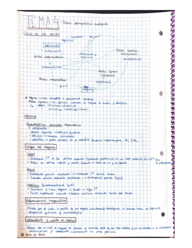 Miniatura del documento GEOLOGIA-tema-4.pdf