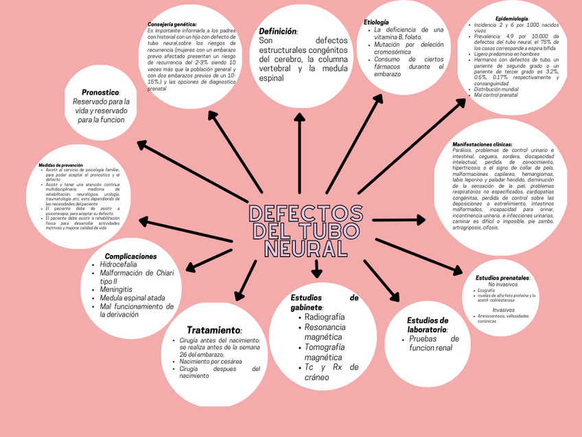 Miniatura del documento Defectos-del-tubo-neural.png
