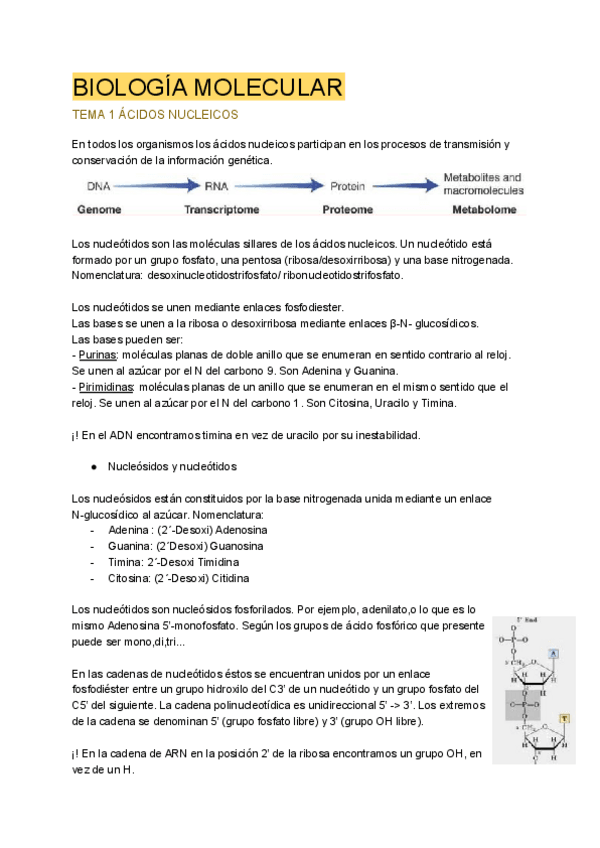 Miniatura del documento biologia-molecular.pdf