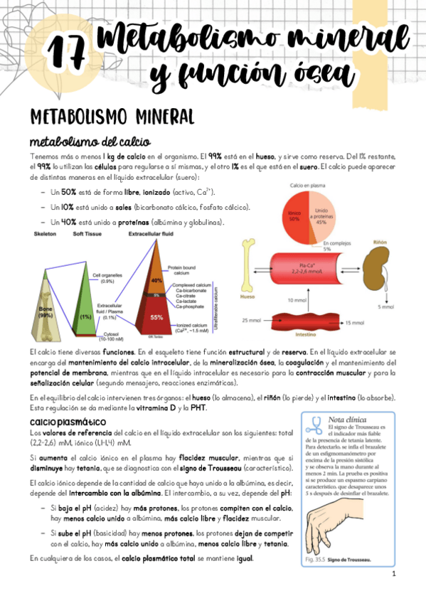 Miniatura del documento Tema-17.pdf