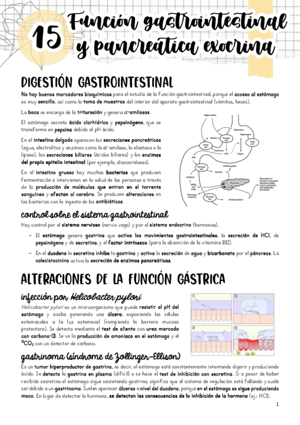 Miniatura del documento Tema-15.pdf