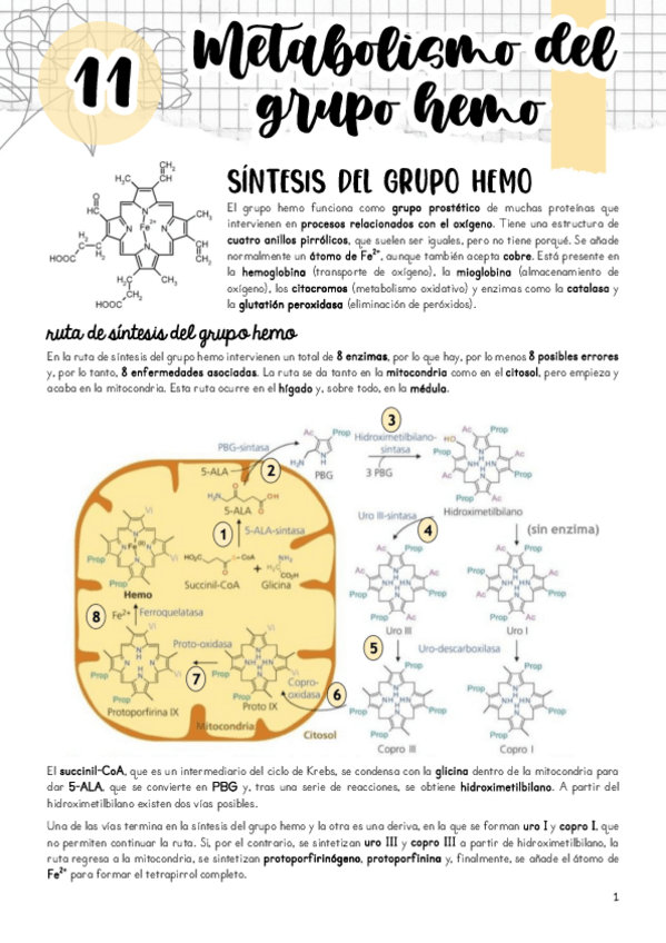 Miniatura del documento Tema-11.pdf