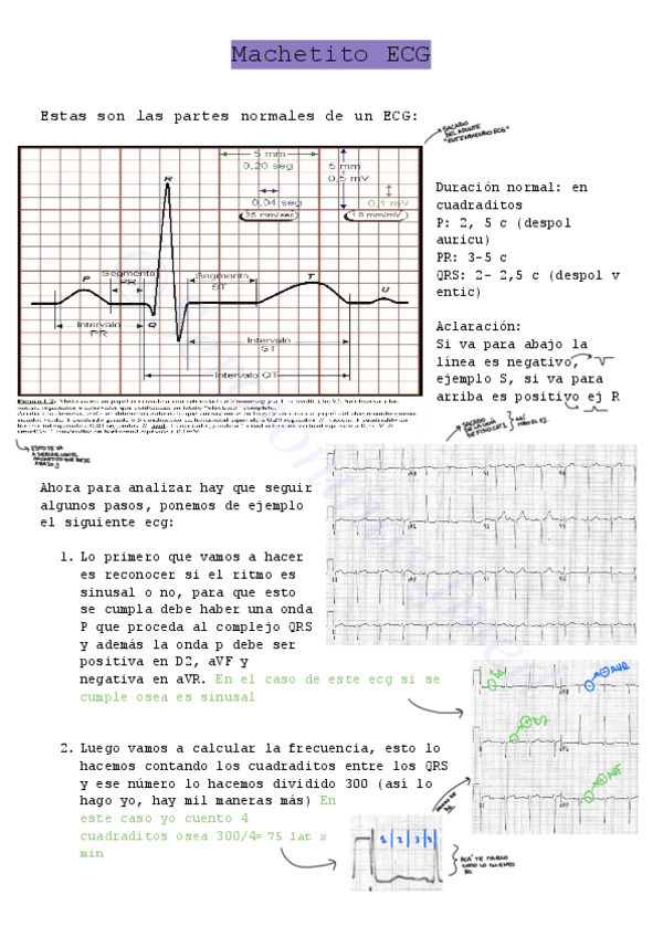 Miniatura del documento Ecg-fisio-2.pdf
