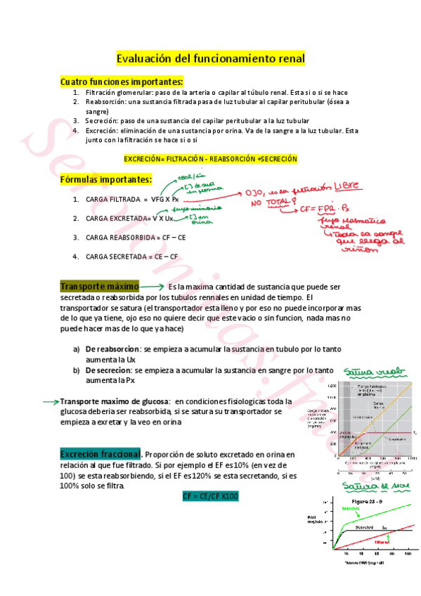 Miniatura del documento Evaluacion-renal.pdf