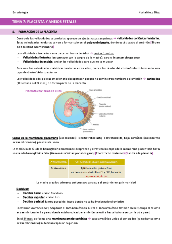Miniatura del documento TEMA-7-Placenta-y-anejos-fetales.pdf