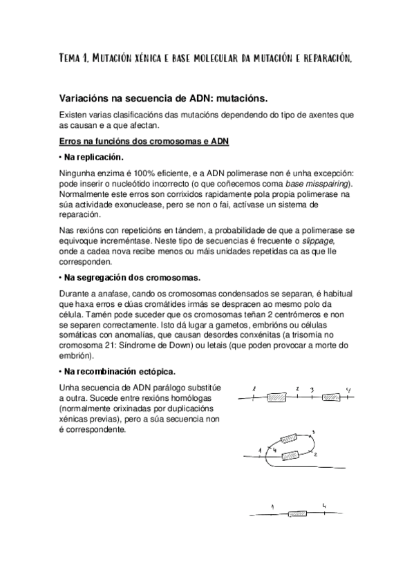 Miniatura del documento TEMA-1-XeneticaIIapuntes.pdf