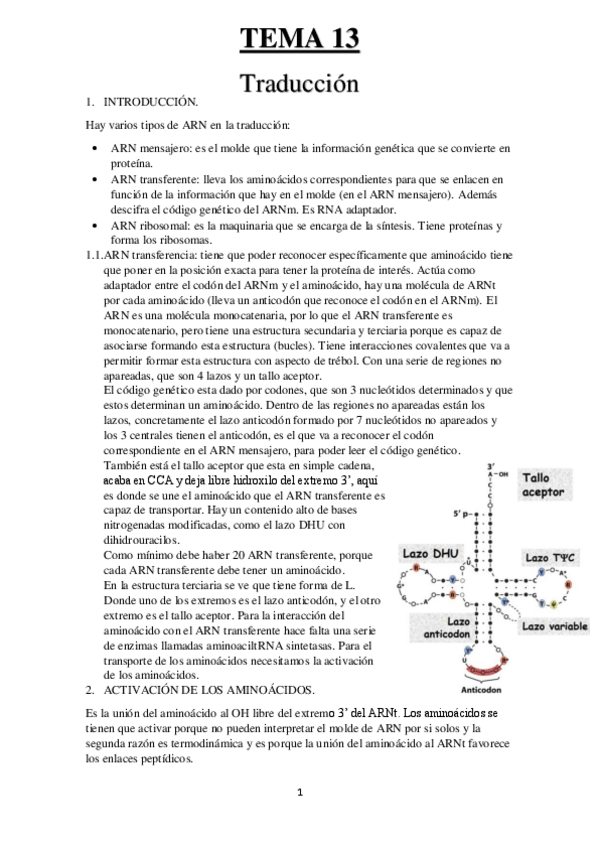 Miniatura del documento TEMA-13.pdf