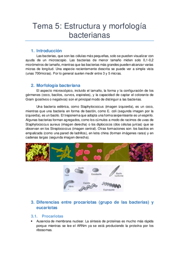 Miniatura del documento Tema 5.pdf