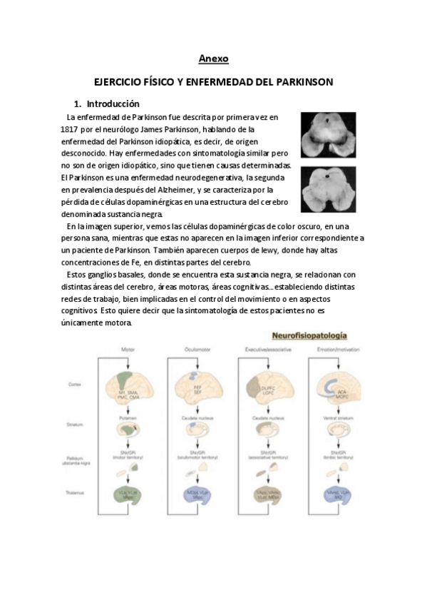 Miniatura del documento Anexo.pdf