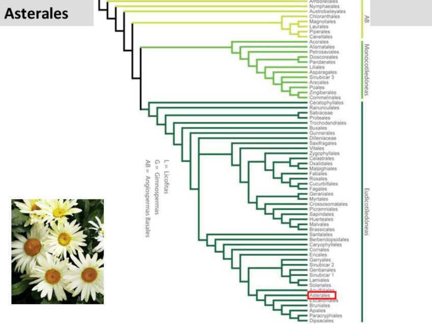 Miniatura del documento Tema-18.pdf