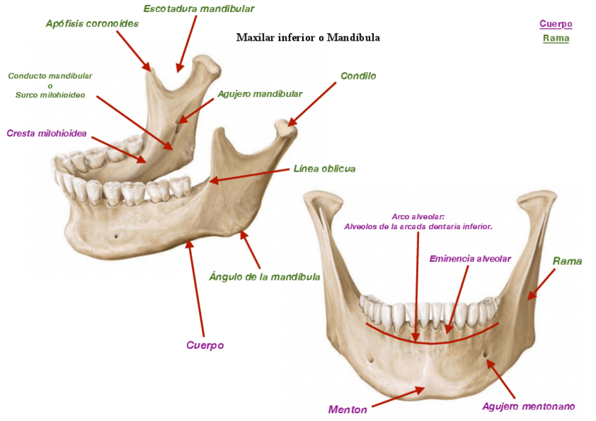 Miniatura del documento Todos-seminarios.pdf