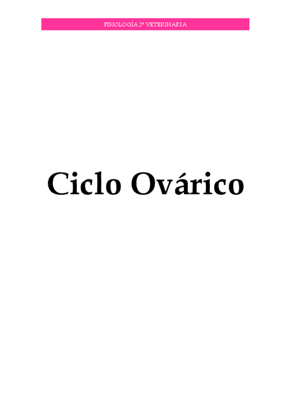 Miniatura del documento Reproductor-III.pdf