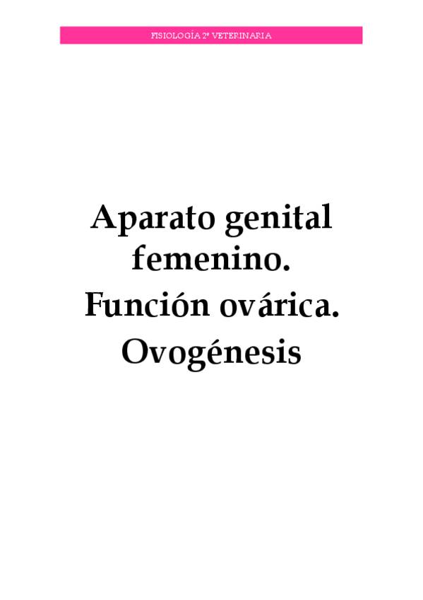 Miniatura del documento Reproductor-II.pdf