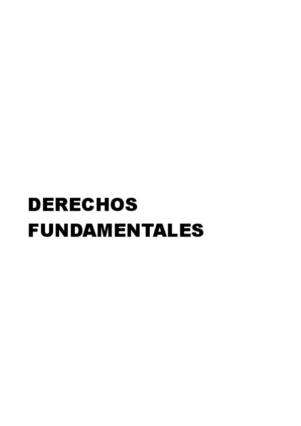 Miniatura del documento Apuntes-de-Derechos-Fundamentales-PDF.pdf