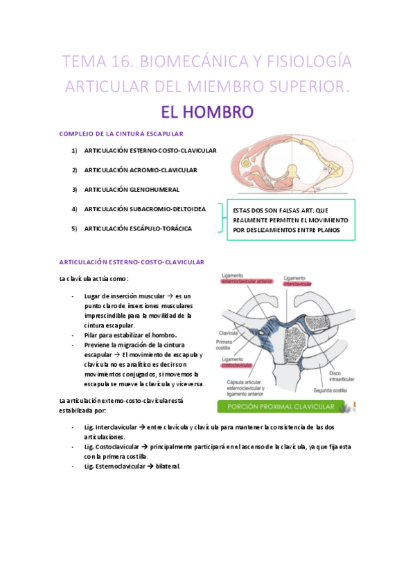 Miniatura del documento TEMA-16-CINESITERAPIA.pdf