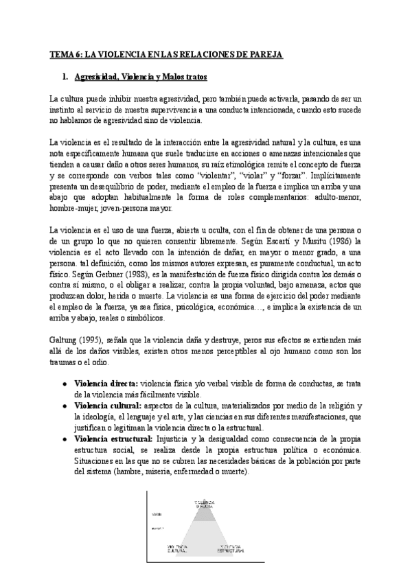 Miniatura del documento TEMA-6-LA-VIOLENCIA-EN-LAS-RELACIONES-DE-PAREJA.pdf
