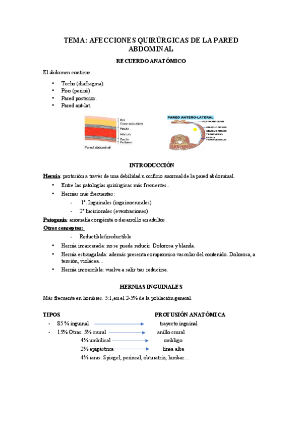 Miniatura del documento hernias.pdf