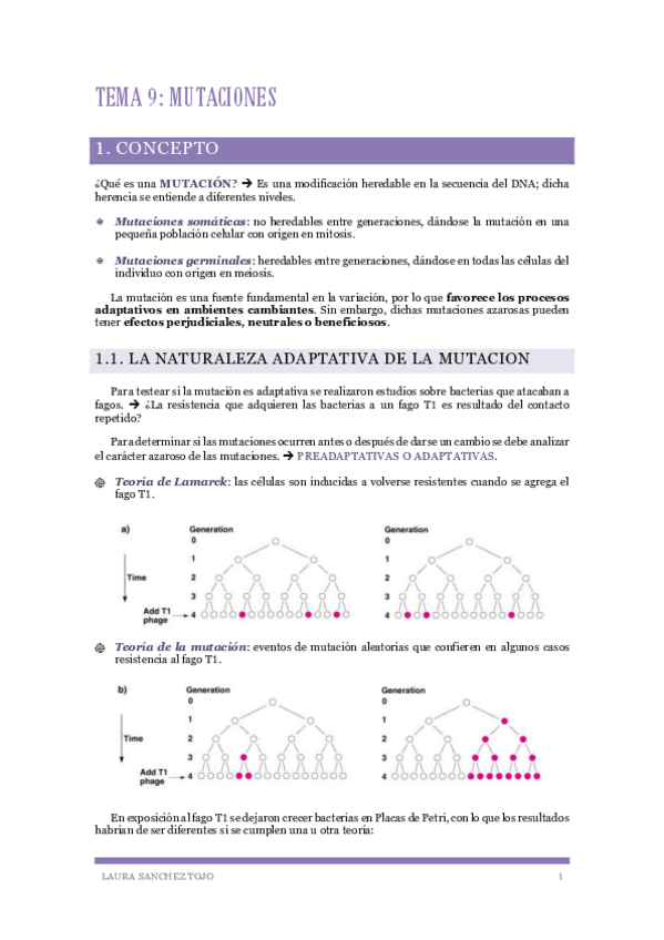 Miniatura del documento Genetica-Tema-9-Mutaciones.pdf