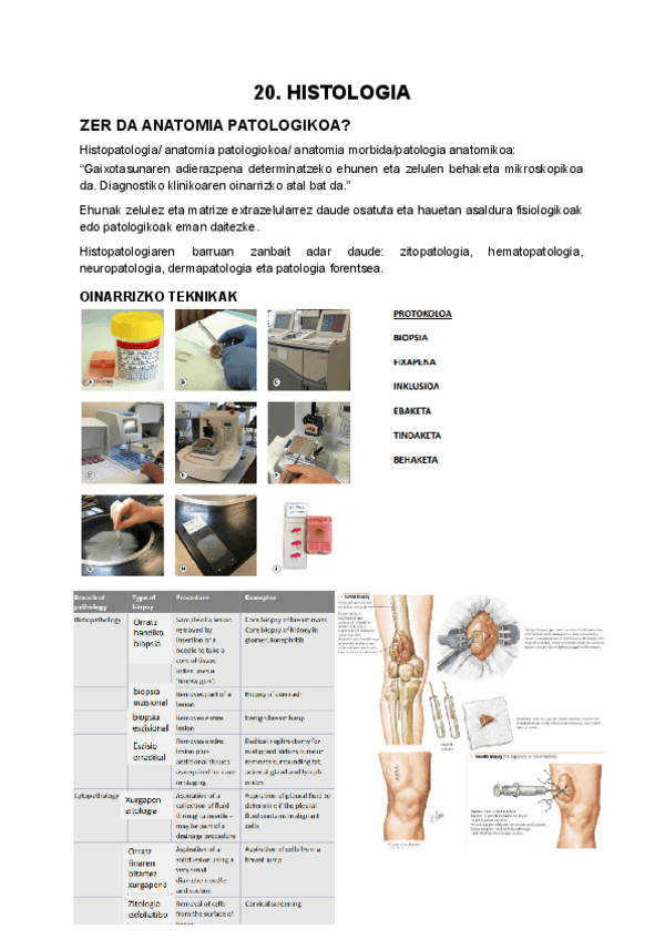 Miniatura del documento 20.pdf