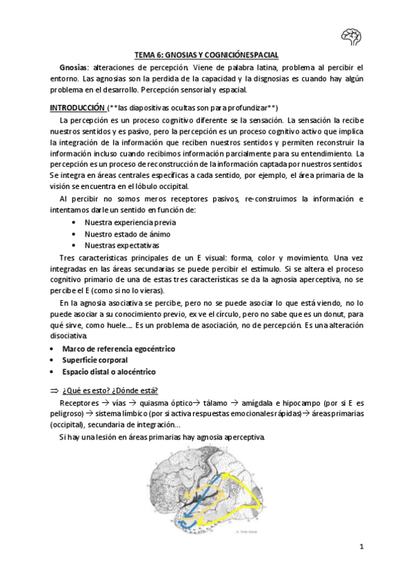 Miniatura del documento Tema-6-Neuropsicologia.pdf