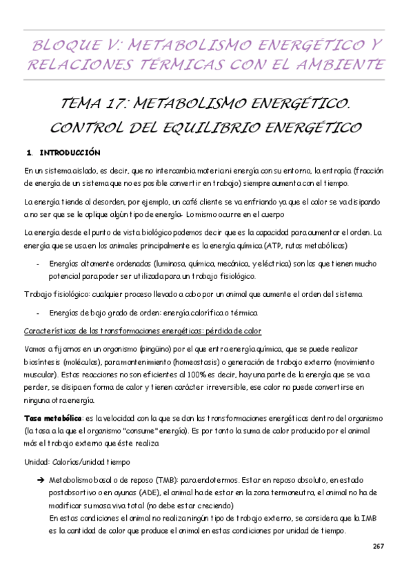 Miniatura del documento Fani-2o-cuatri.pdf
