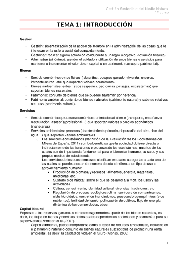 Miniatura del documento Teoria-TODO.docx