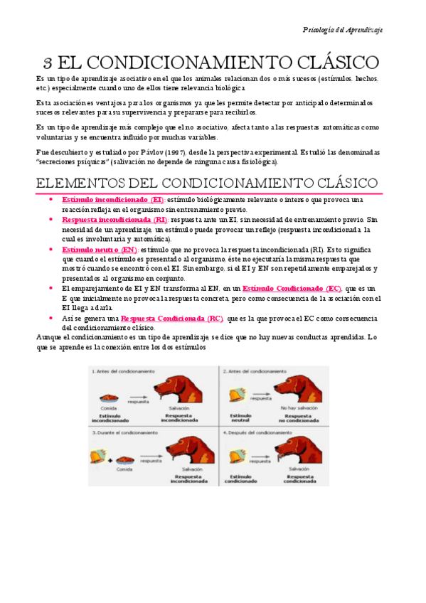 Miniatura del documento Psicologia-del-Aprendizaje-Tema-3.pdf