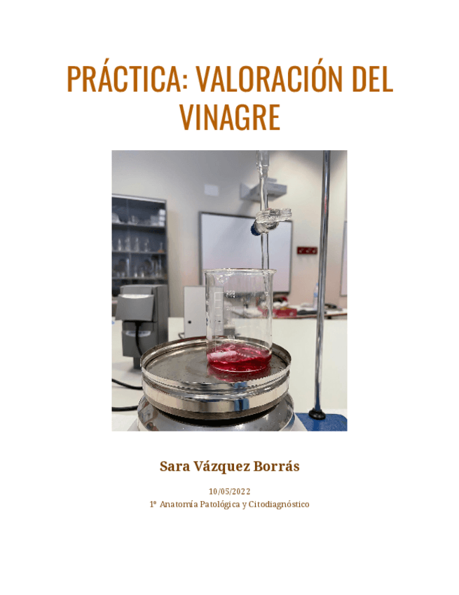 Miniatura del documento Informe Valoración del vinagre.pdf
