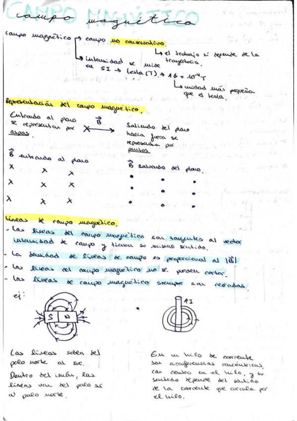 Miniatura del documento teoria-campo-magnetico.pdf